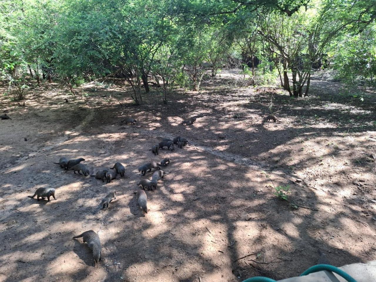 African Bush Escape مارلوث بارك المظهر الخارجي الصورة