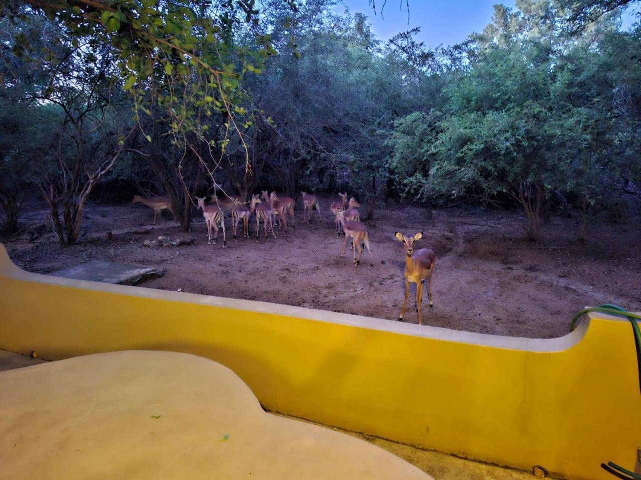 African Bush Escape مارلوث بارك المظهر الخارجي الصورة