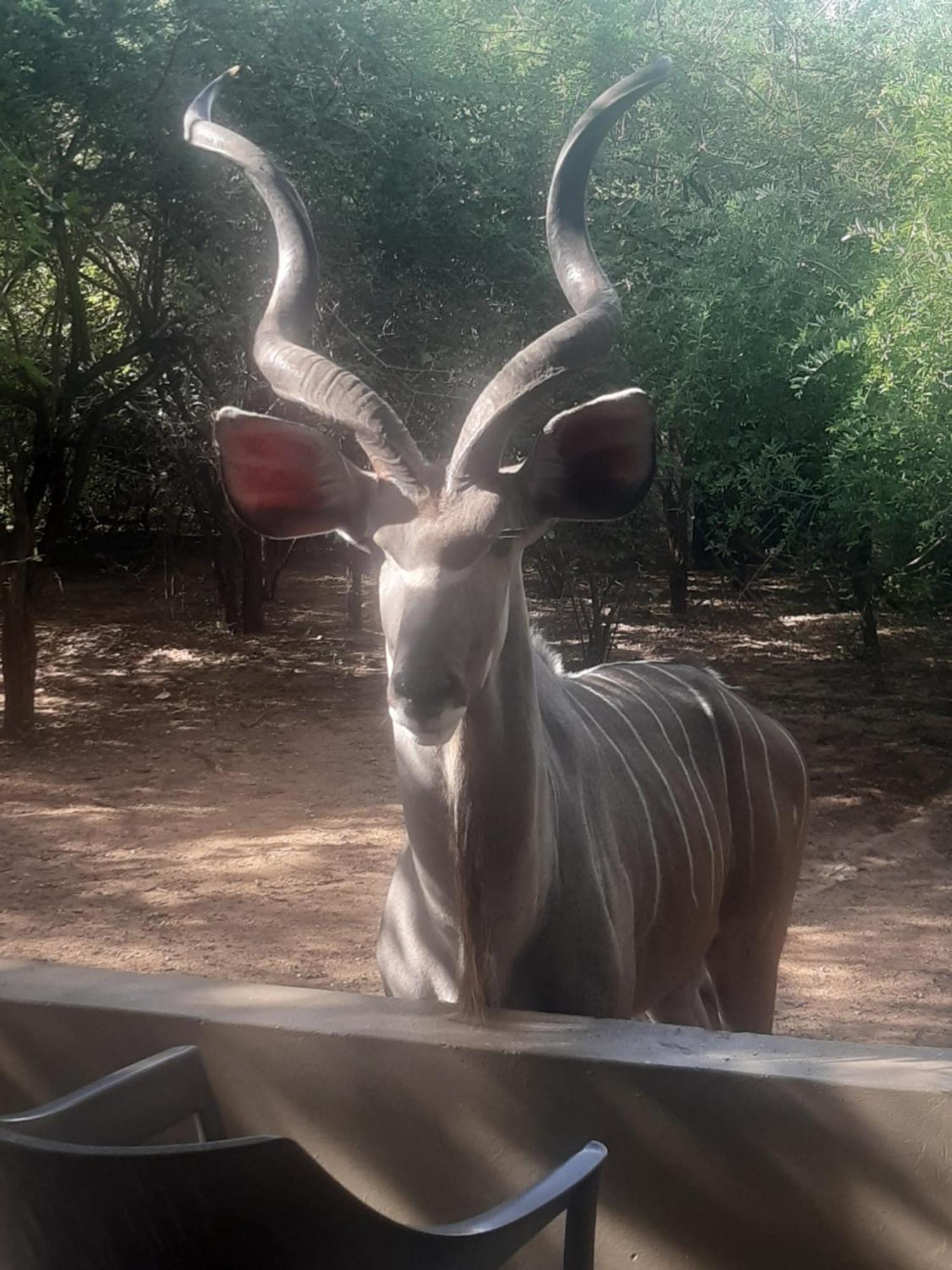 African Bush Escape مارلوث بارك المظهر الخارجي الصورة