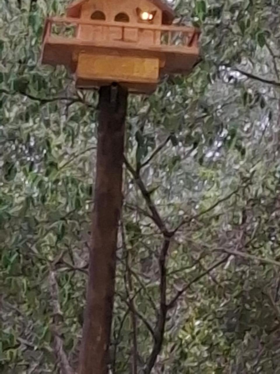 African Bush Escape مارلوث بارك المظهر الخارجي الصورة